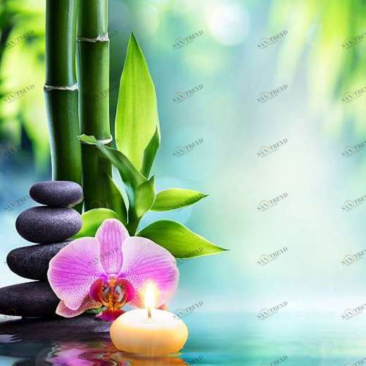 L-077 Фотообои DIVINO L&P 2х2.7 м L077