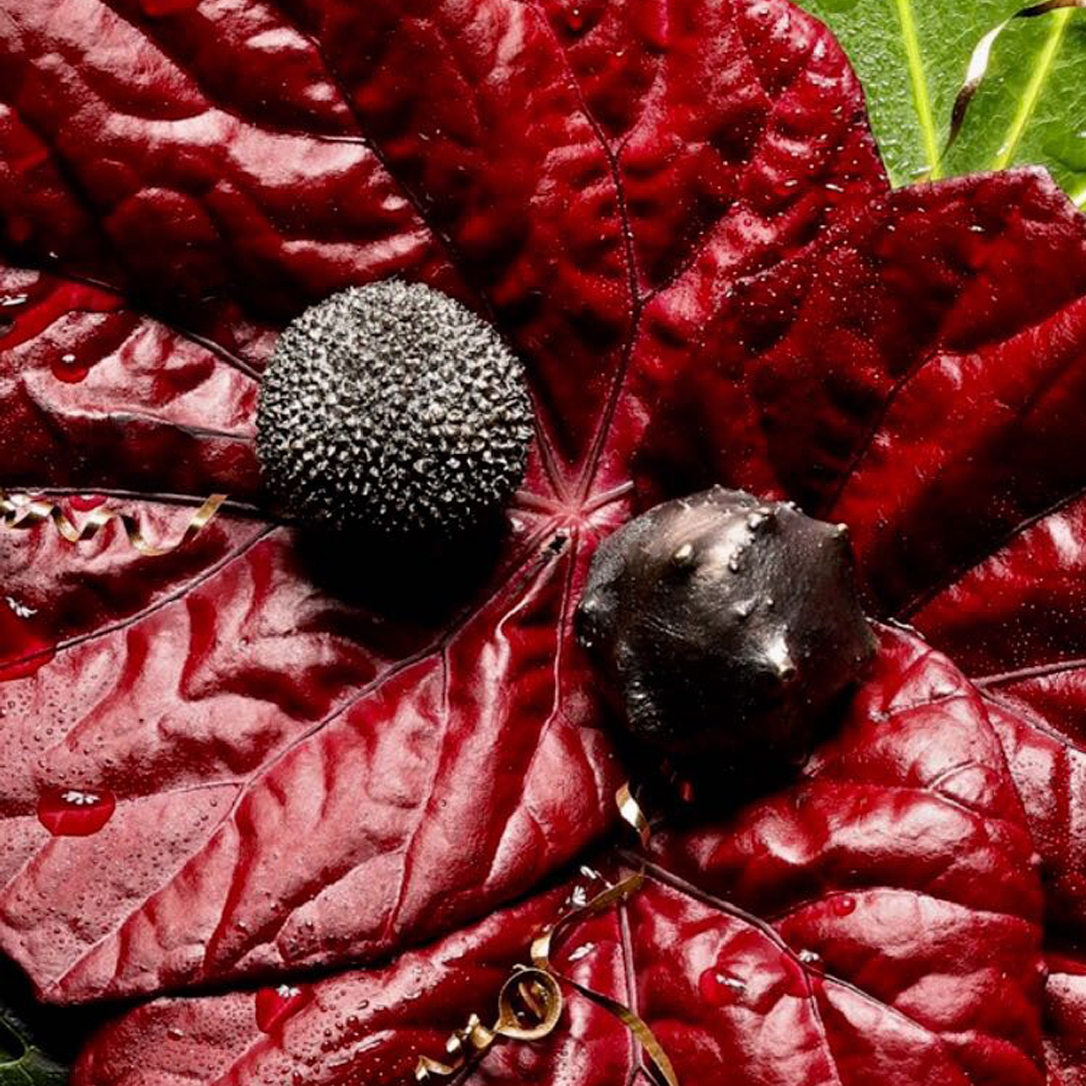 EA1018 Oak PULLCAST Earth Collection  - Вид №4