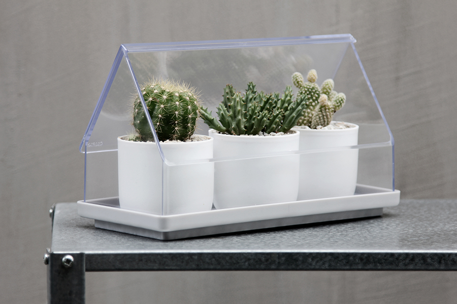 QL10310-CL-GY Лоток для выращивания растений micro green house прозрачный Qualy  - Вид №4