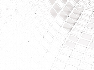 Equipo DRT Полиэфирная сетка для штор