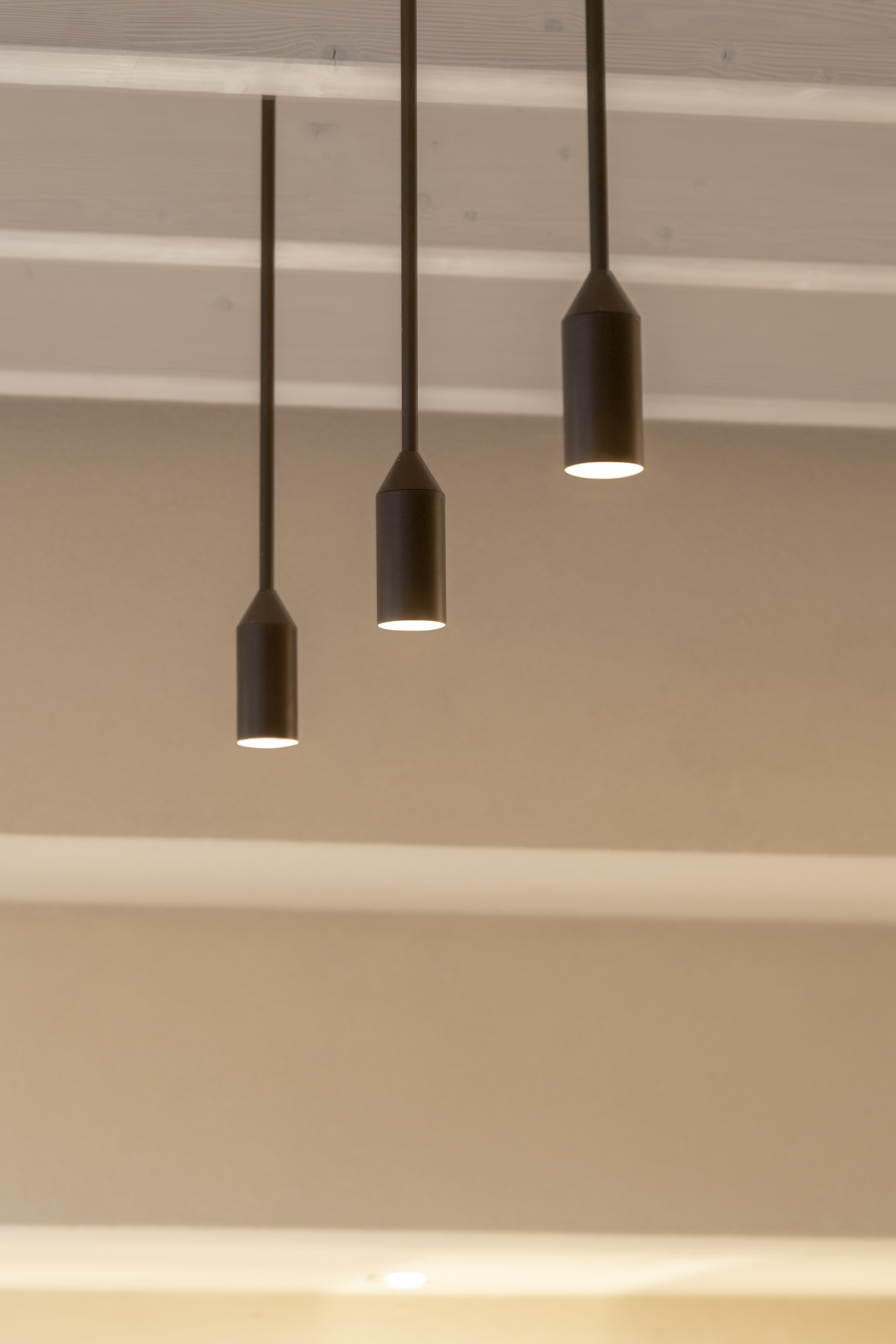 3070216 Потолочный светильник Platek FLAMINGO 2.0 Soffitto  FLAMINGO 2.0 H. 800 mm - 1 COB 3000K 76°  - Вид №7