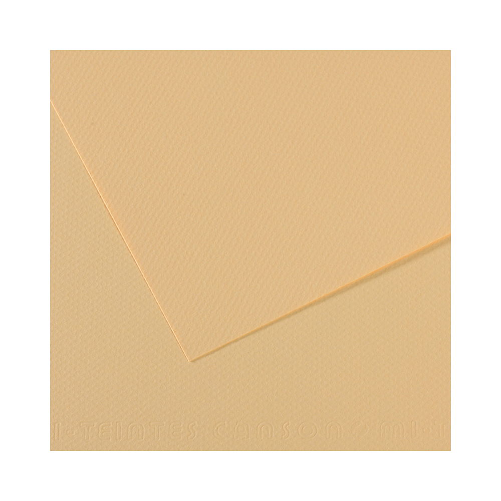 200321127 Бумага для пастели Mi-Teintes 160 г/м2 75 х 110 см лист №407 кремовый Canson 