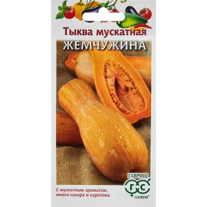 Семена овощей Гавриш тыква мускатная Жемчужина 89344894 STLM-2003250