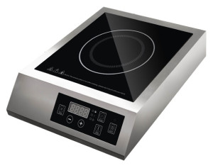 1157208 Плита компактная электрическая Gastrorag TZ-JDL-C30A1 серебристый