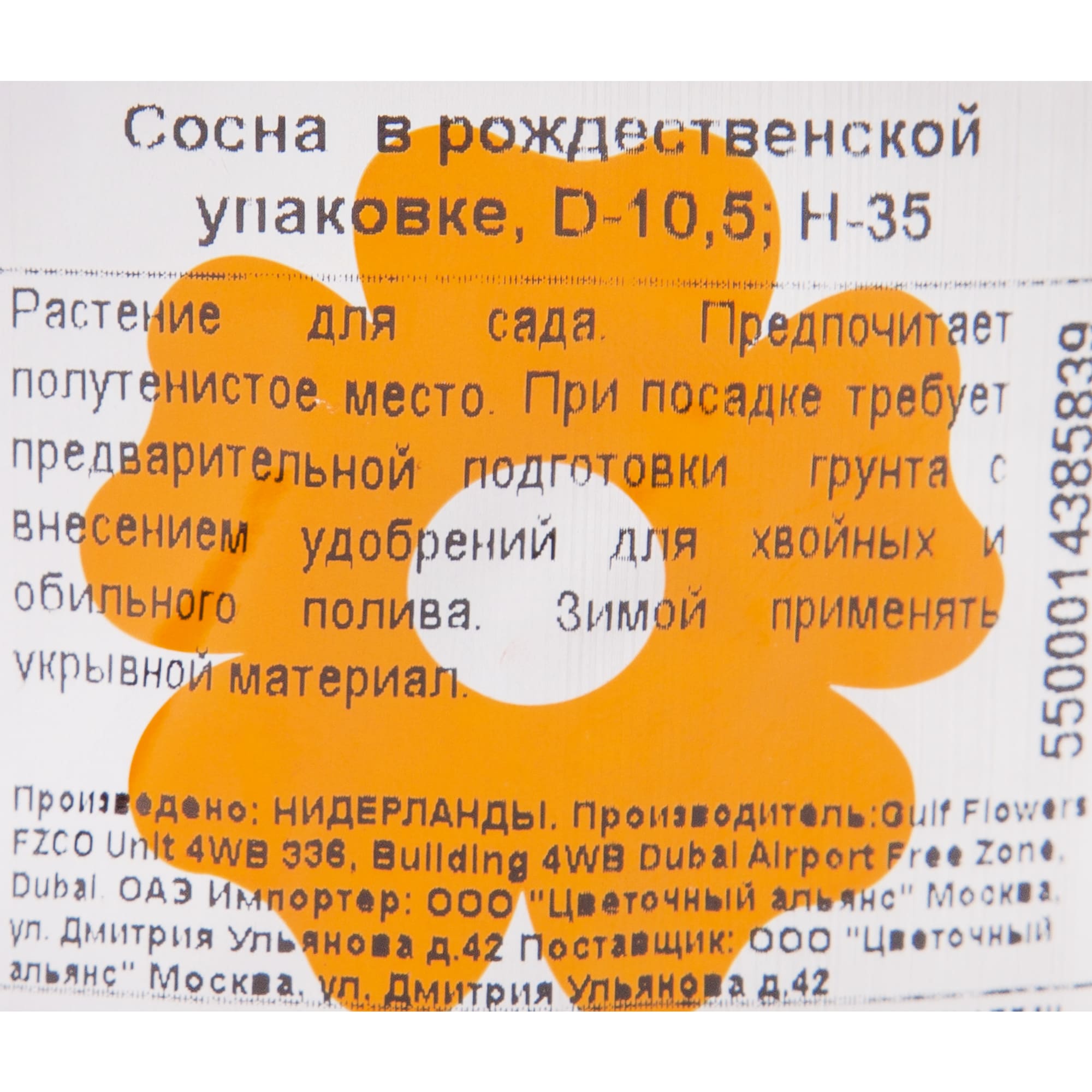 82769601 Сосна в рождественском пакете 10.5x35 см Santreyd  - Вид №3