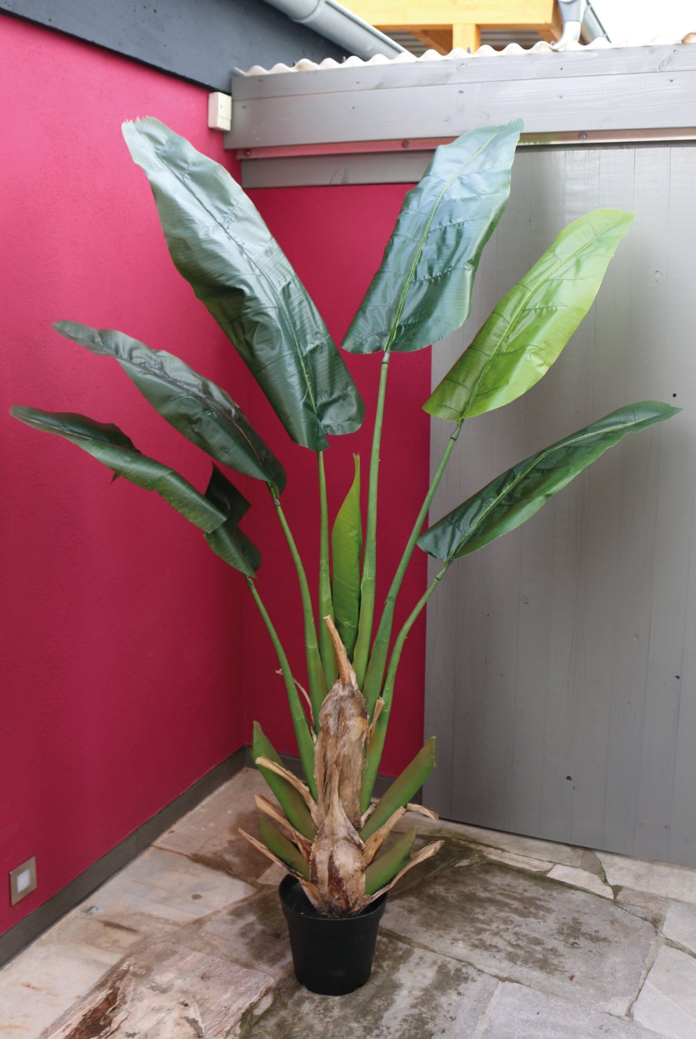 5894 883 a3 Хеликония искусственная, в горшке, 210 см, зеленая H-andreas  - Вид №3