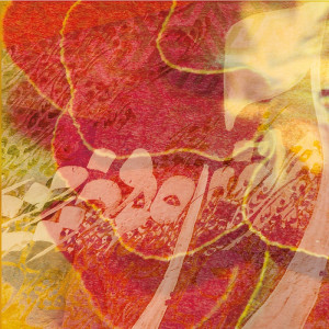 2270/CX38 Картина 2270 Adriani e Rossi