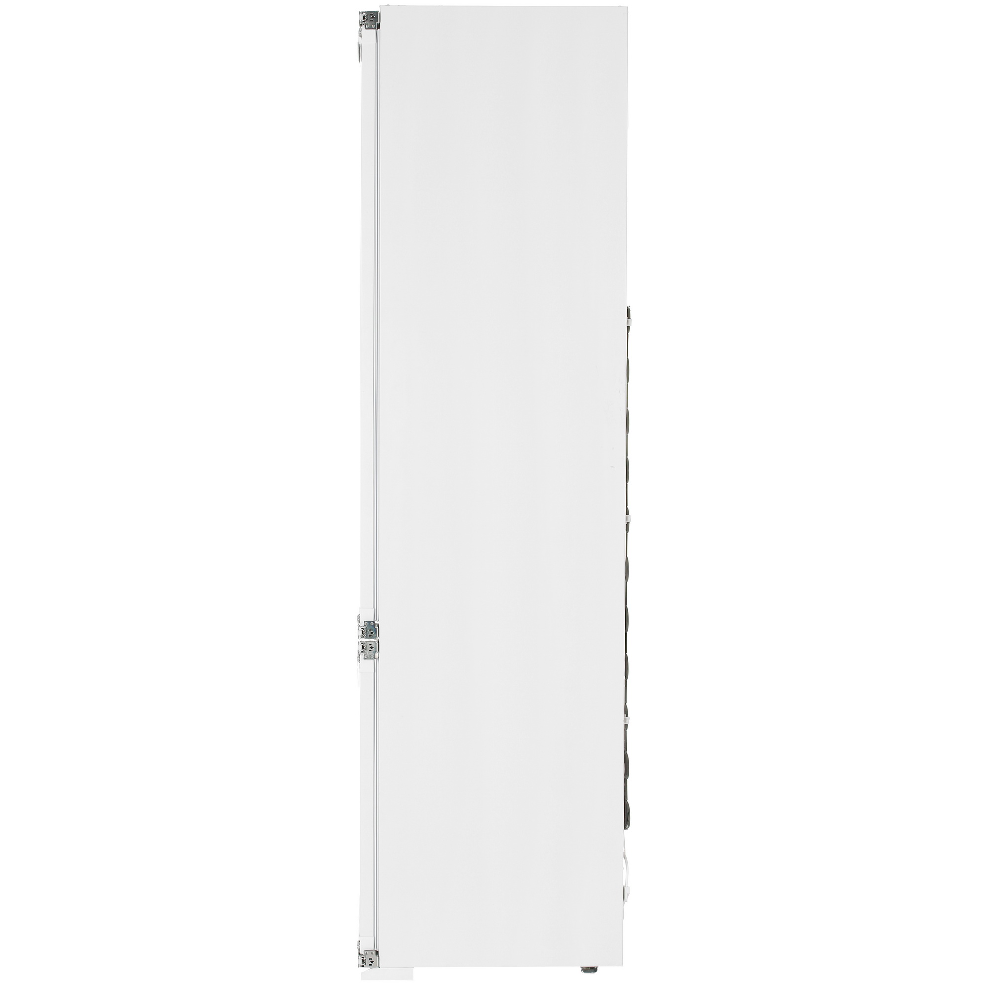 8192599 Встраиваемый холодильник Ascoli ADRF310WEBI STDN-0107481 - Вид №3