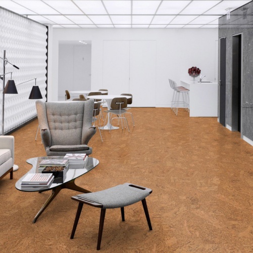 Пробка Wicanders Eco Cork Accent (Гладкая) 600х300 мм DN17002 - Вид №1