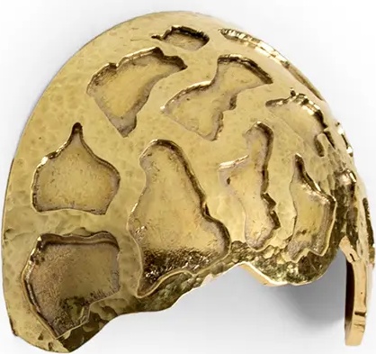 OC2021 PullCast Ручка ящика TURTLE Полированная латунь  - Вид №1