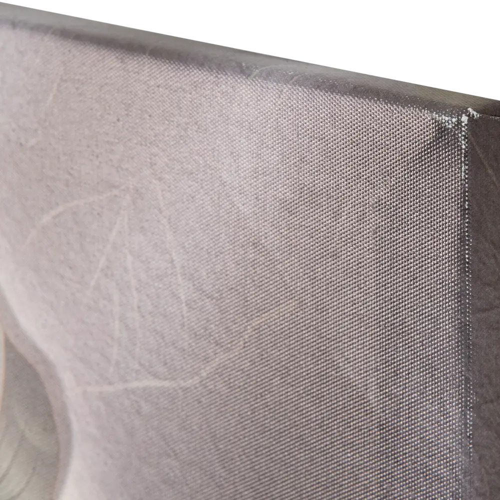 Картина на холсте Постер-лайн Листья монстеры 40x60 см STLM-2204275 - Вид №1