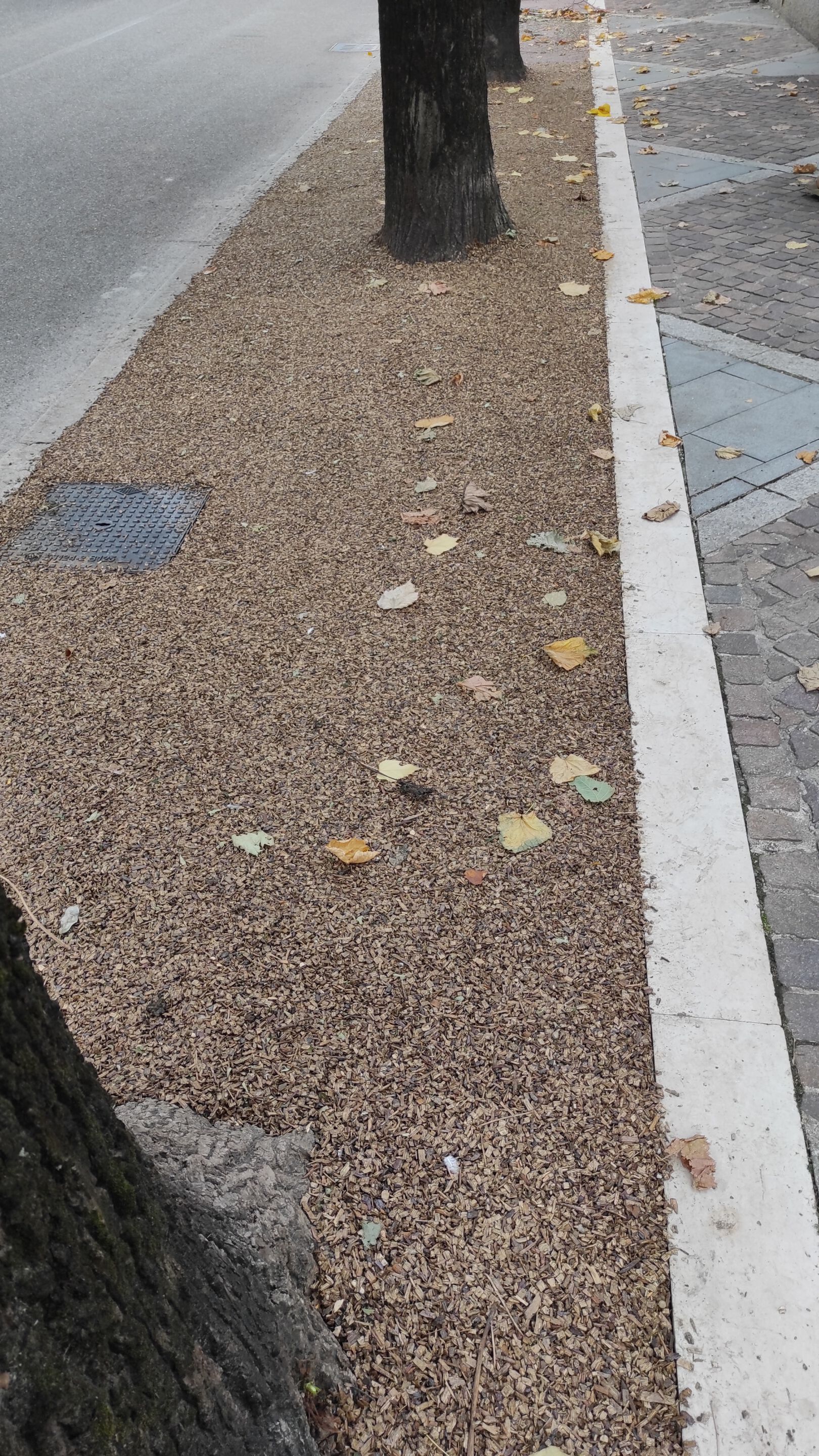 Настил из древесной щепы Studio Muscatelli GREVELWOOD ARCH-00067258 - Вид №6