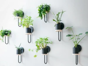 Miniforms Настенный горшок для цветов Cigales