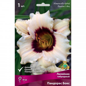 83597560 Лилейник гибридный Пандорас Бокс луковица I