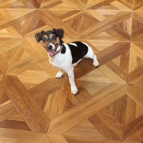 Модульный паркет Marco Ferutti Linea Linea Термо Дуб с брашью (Текстурированная) 405х405 мм 2600600032 - Вид №7