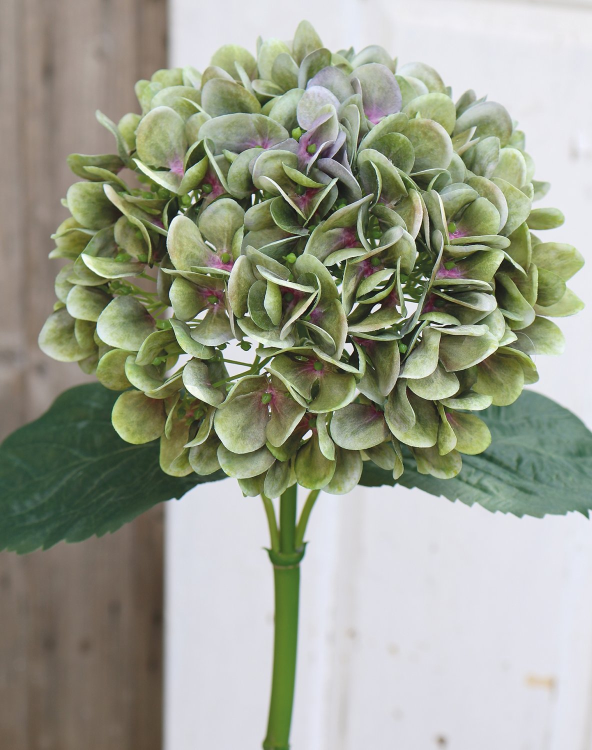 2270 883 a3 Гортензия искусственный цветок, 65 см, зеленый H-andreas  - Вид №1