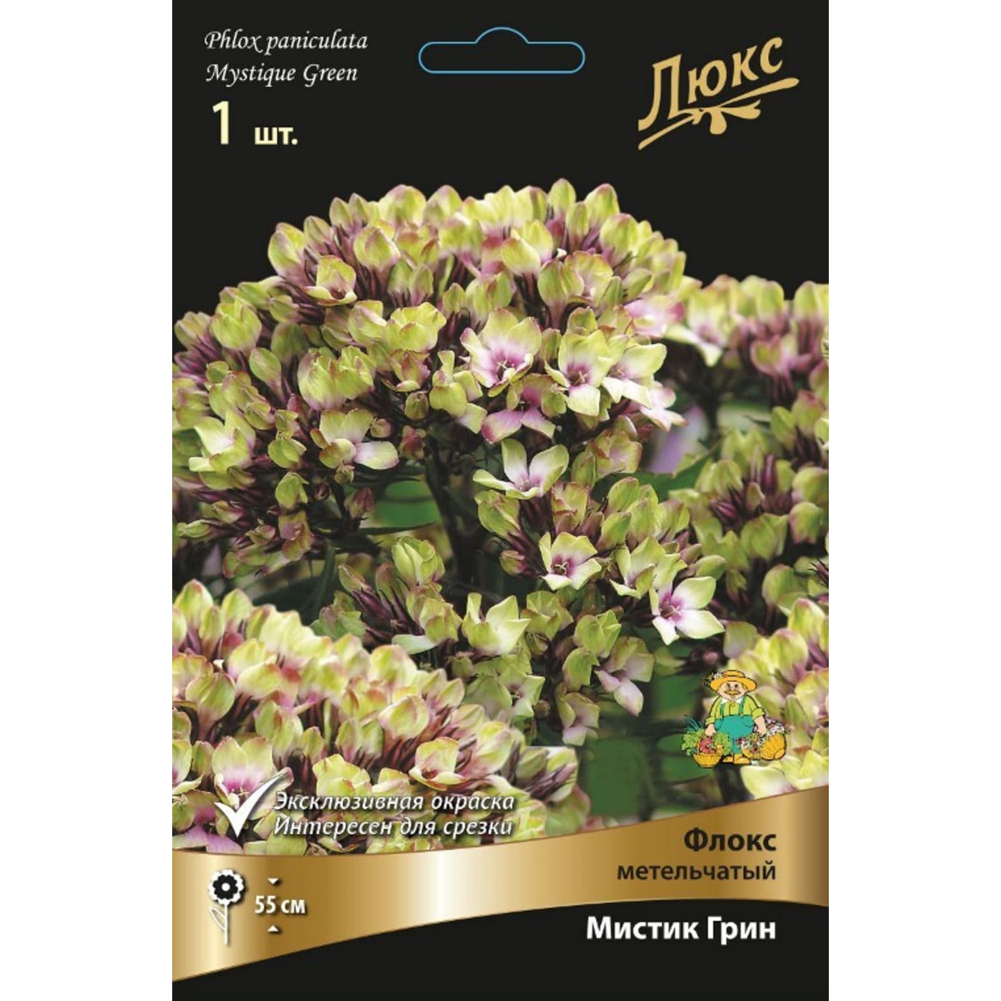 83600079 Флокс метельчатый Мистик Грин луковица I Santreyd 