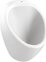 Писсуар с задним водоприемником / TP635.00100 Creavit 