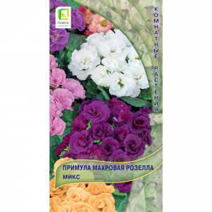 82984202 Семена Примула махровая «Розелла Микс»
