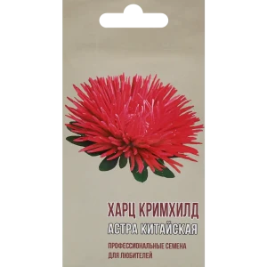 Астра китайская Харц Кримхилд 83601684 STLM-2179145