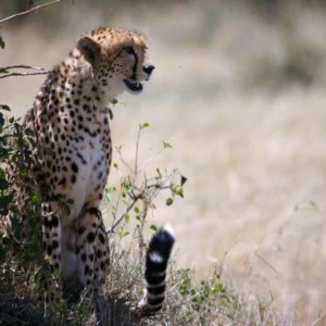 WP02327 Фотообои Verol Фотообои decoline 1х1 м