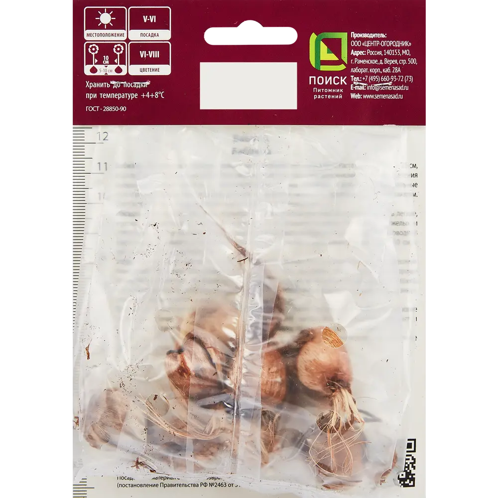 Бабиана прямая смесь окрасок, 10 шт ПОИСК STLM-2088661 - Вид №1