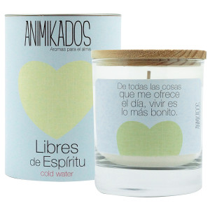 VV007LEAM Свеча ароматическая animikados, dream catcher, Холодная вода, 40 ч. Ambientair