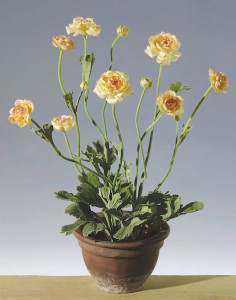 4602 553 a2 Лютик искусственный, 8 цветков, 4 бутона, в горшке, 50 см, абрикос H-andreas