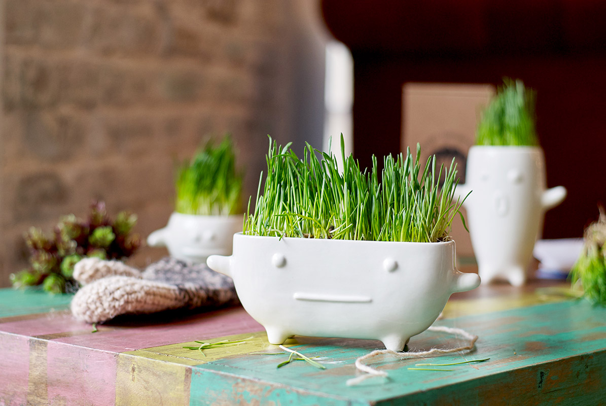 Набор для выращивания eco "Буль" ЭКОЧЕЛОВЕКИ  254568 Белый  - Вид №3