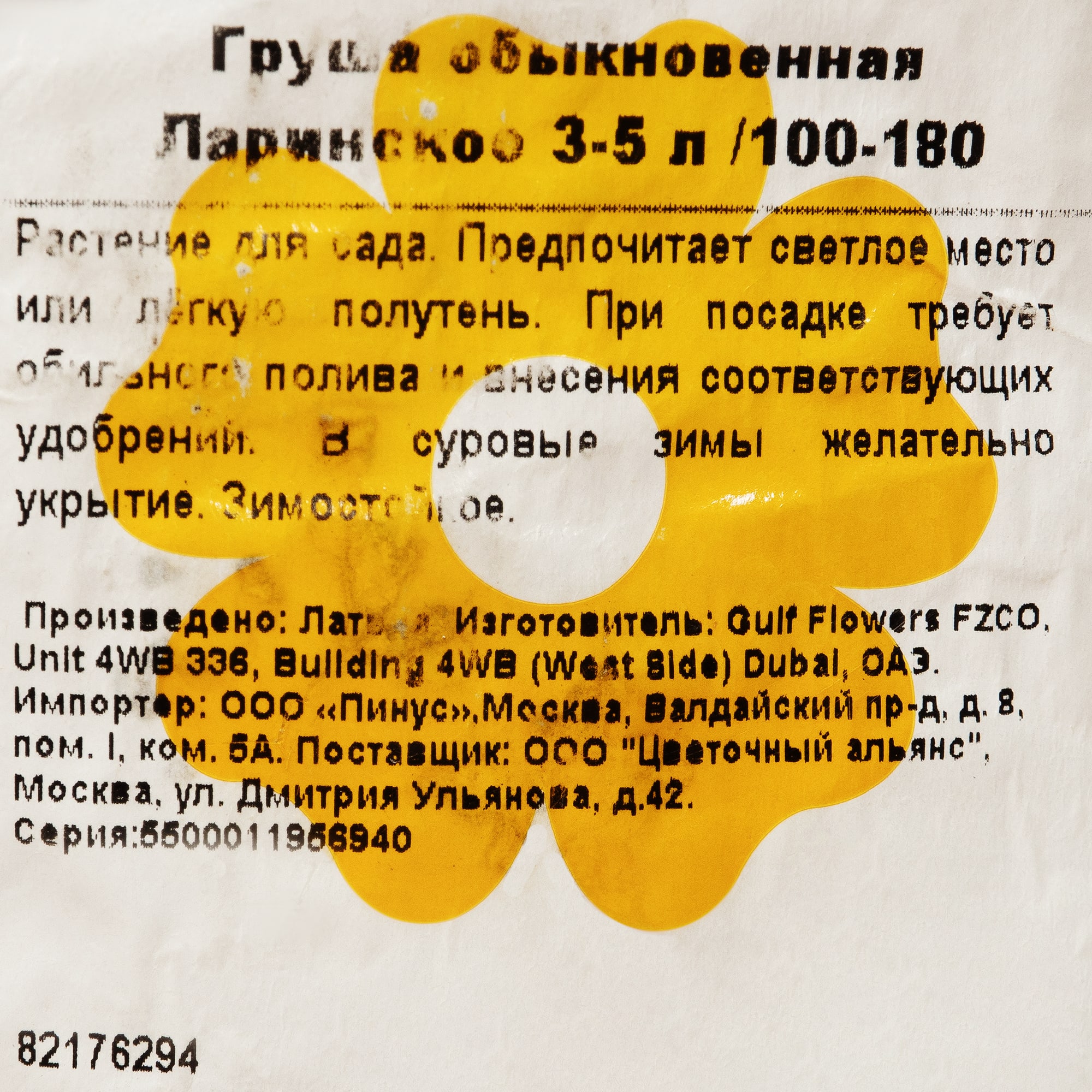 82176294 Груша обык «Ларинское» 3-5 л 100-180 см Santreyd  - Вид №1