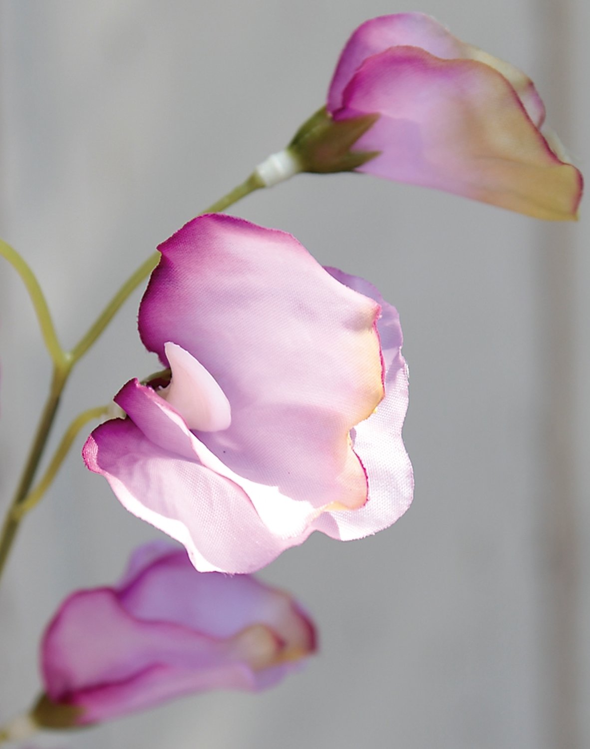 3181 005 a3 Вики искусственные, 4 штуки, 48 см, разноцветная миткалевая роза H-andreas  - Вид №2