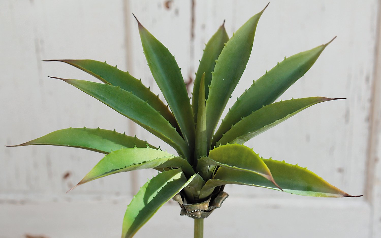 6495 883 a3 Искусственная агава на палочке, 24 см, Ø 26 см, зеленая H-andreas  - Вид №4