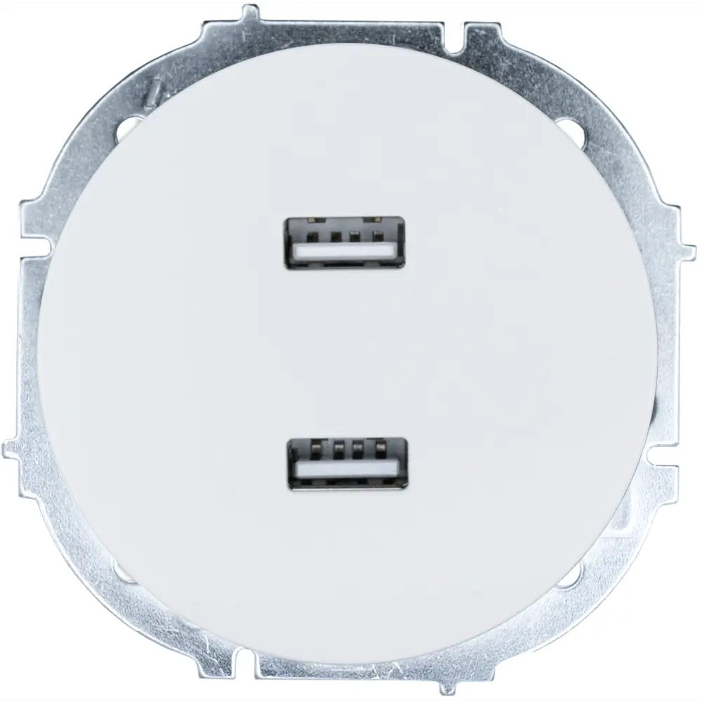 Розетка двойная USB встраиваемая Osen цвет белый 89424723 STLM-2212109 LEZARD