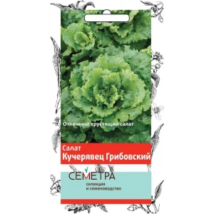 Семена Салат «Кучерявец Грибовский» 83147211 STLM-2084404
