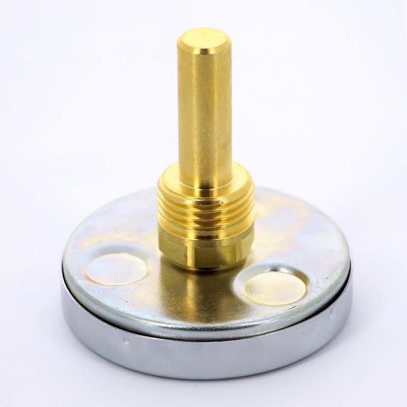 Термометр биметаллический F+R801 63 мм 160° WATTS с погружной гильзой 50 мм 10005806 - Вид №2