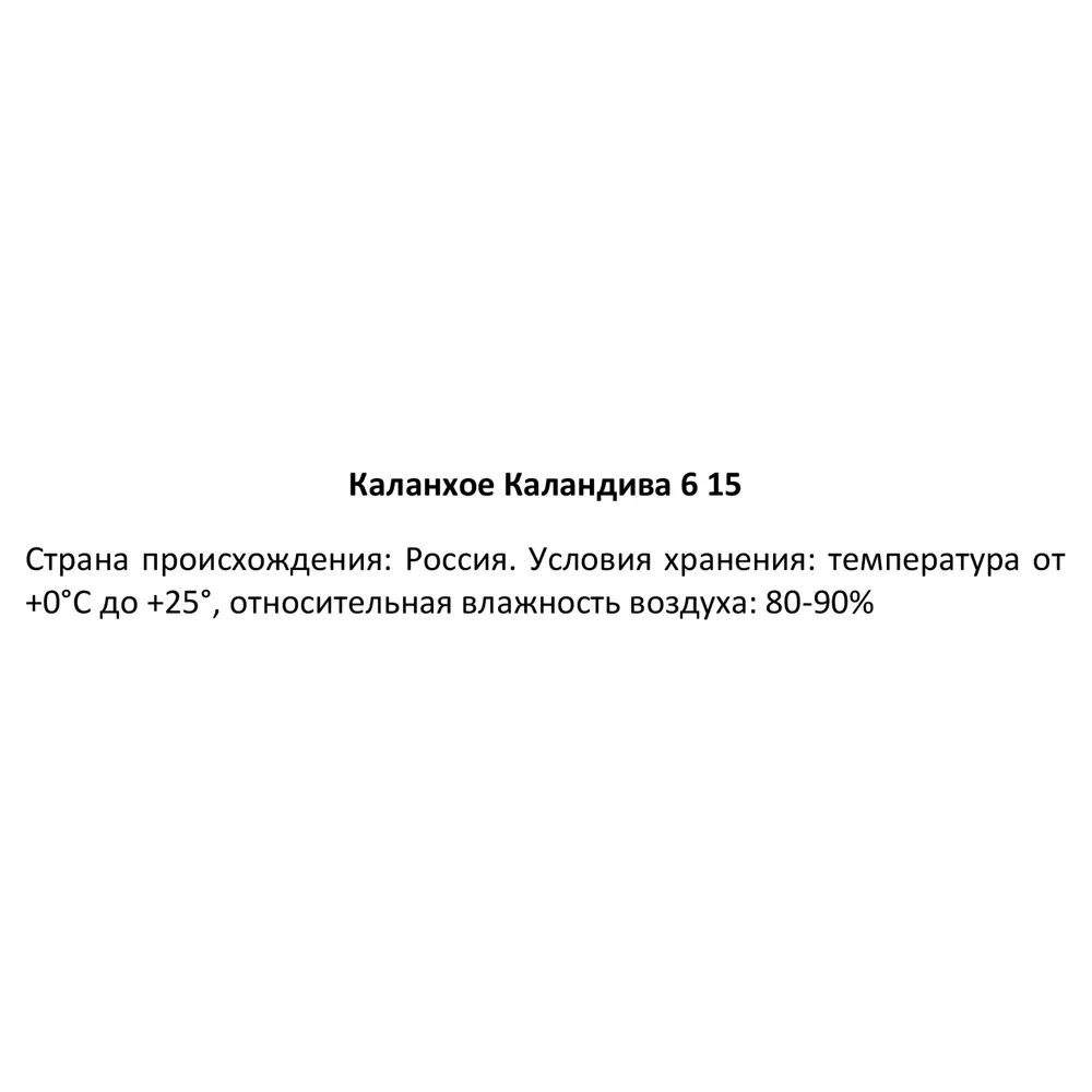 Santreyd Каланхоэ Каландива - цветущий суккулент для интерьера 89354338 STLM-1505437 - Вид №5