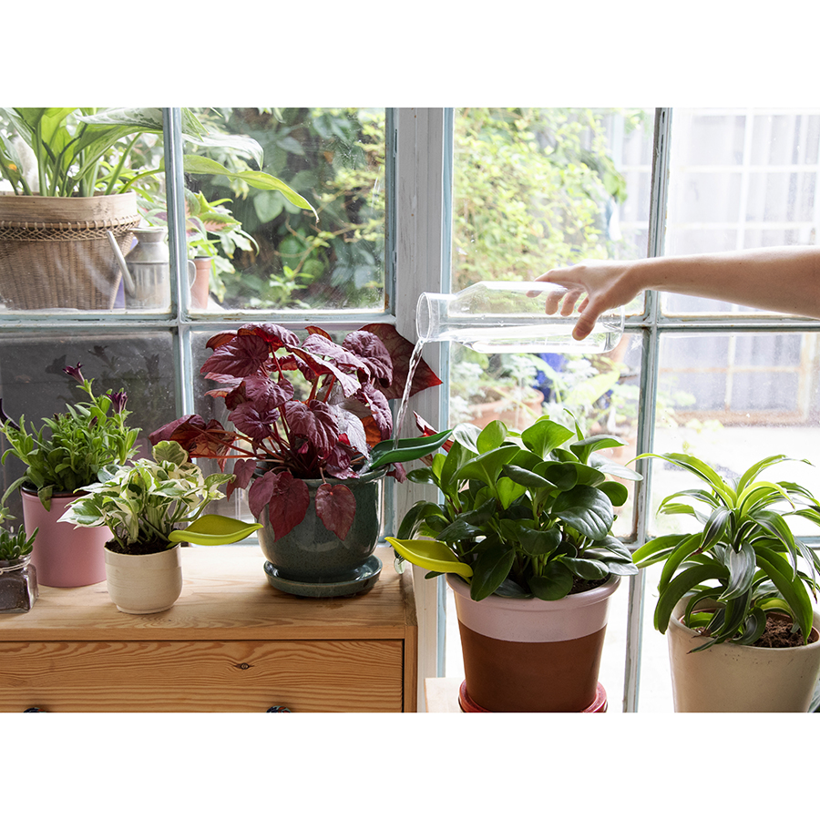 PE465 Воронка для полива растений peleg, leaflow Peleg Design  - Вид №1