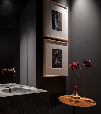 SC11 Ванна vola  - Вид №4