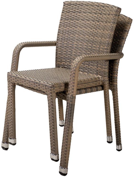 50647 Стул Борнео G R-HOME 870139 - Вид №4