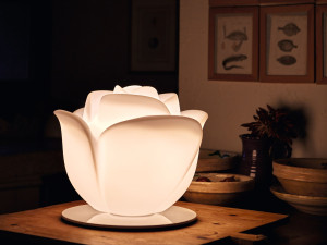 Настольная лампа Poleasy®