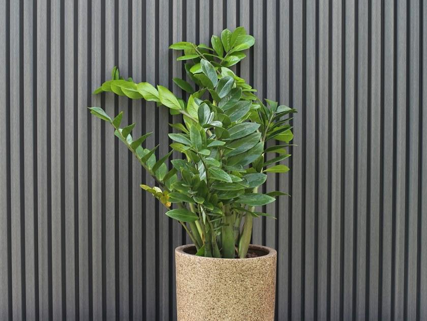 Déco Облицовка из композитного дерева sun-id-1401304 - Вид №6