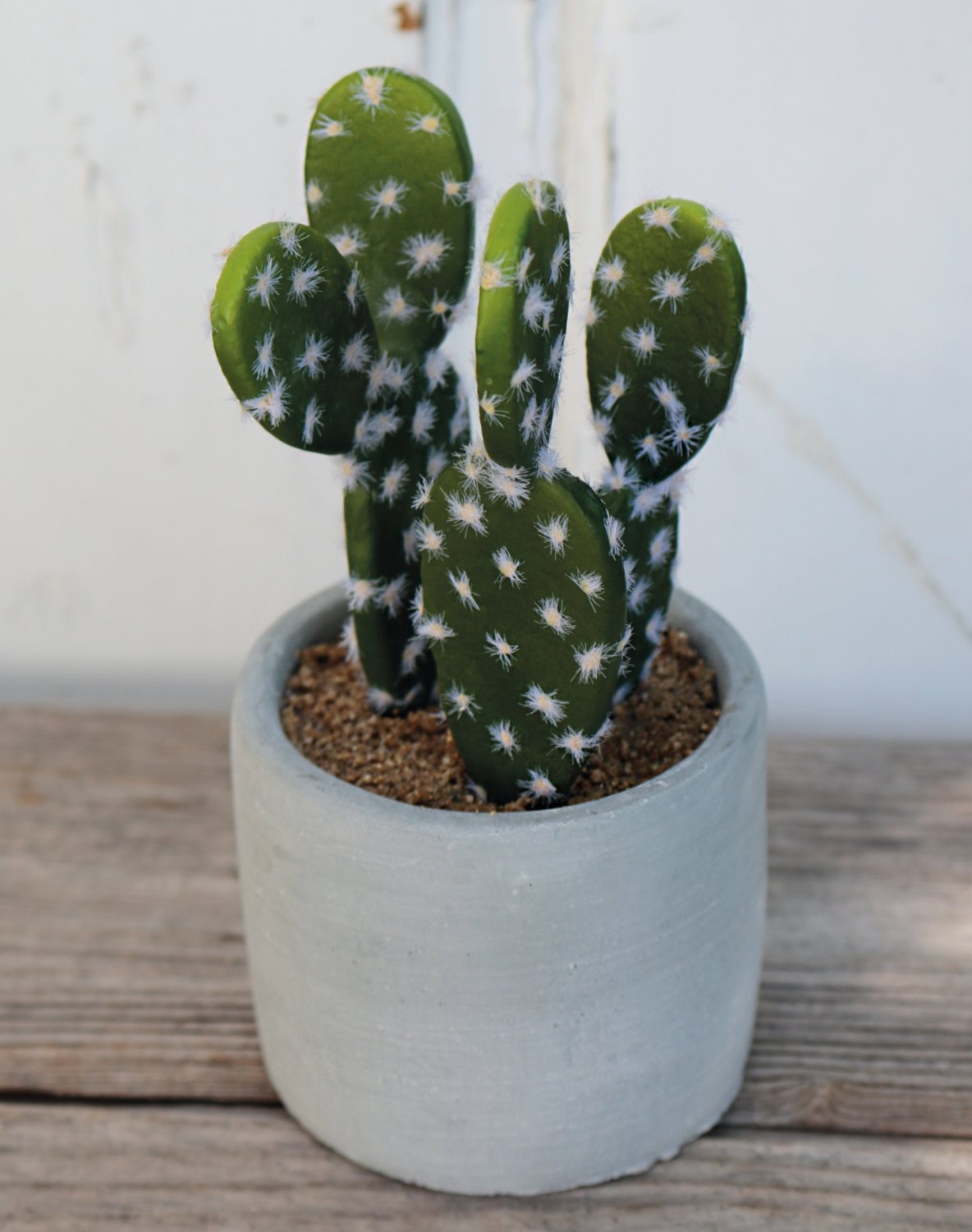 6068 883 a3 Пластиковые суккуленты-микс, в горшках, 3 шт., 10/14/17 см, зеленые H-andreas  - Вид №7