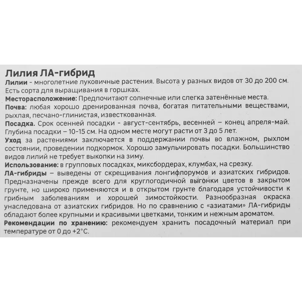 Лилия Geolia ла-гибрид Ройал Презент 86408632 STLM-2199743  - Вид №3
