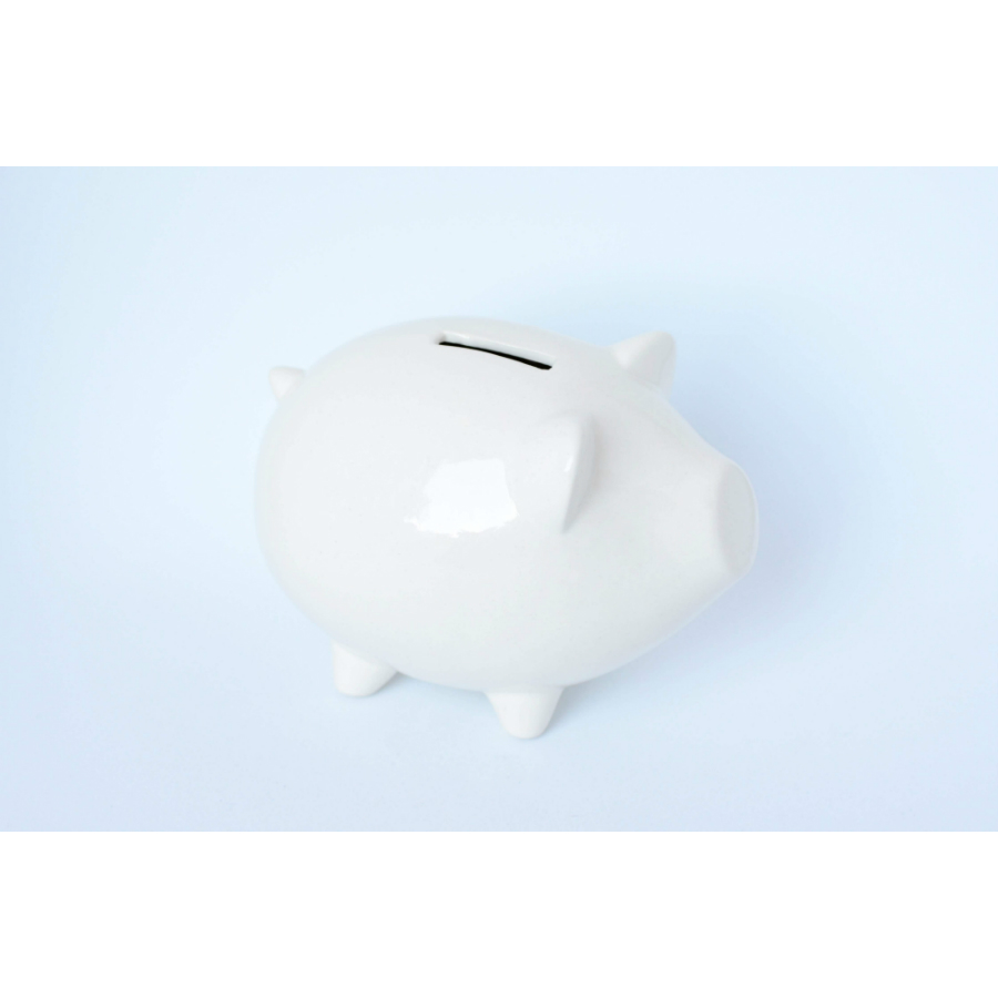 PIG-1-01 Сувенир «свинка-копилка» Экочеловеки  - Вид №3