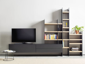 Низкий ТВ-шкаф с книжным шкафом