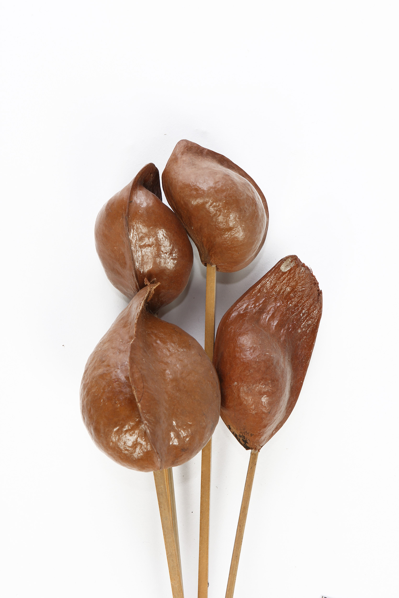 8008215159461 Декор Fiore 6 LINIE DESIGN  - Вид №1