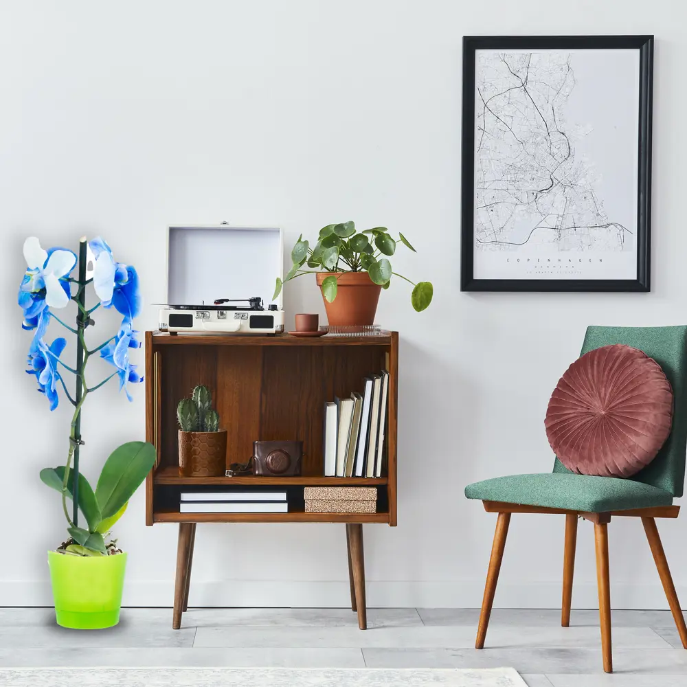 ТЕК.А.ТЕК Горшок для орхидей с аэрацией и контролем корней 18006224 Орхидея партер STLM-0009196 - Вид №1