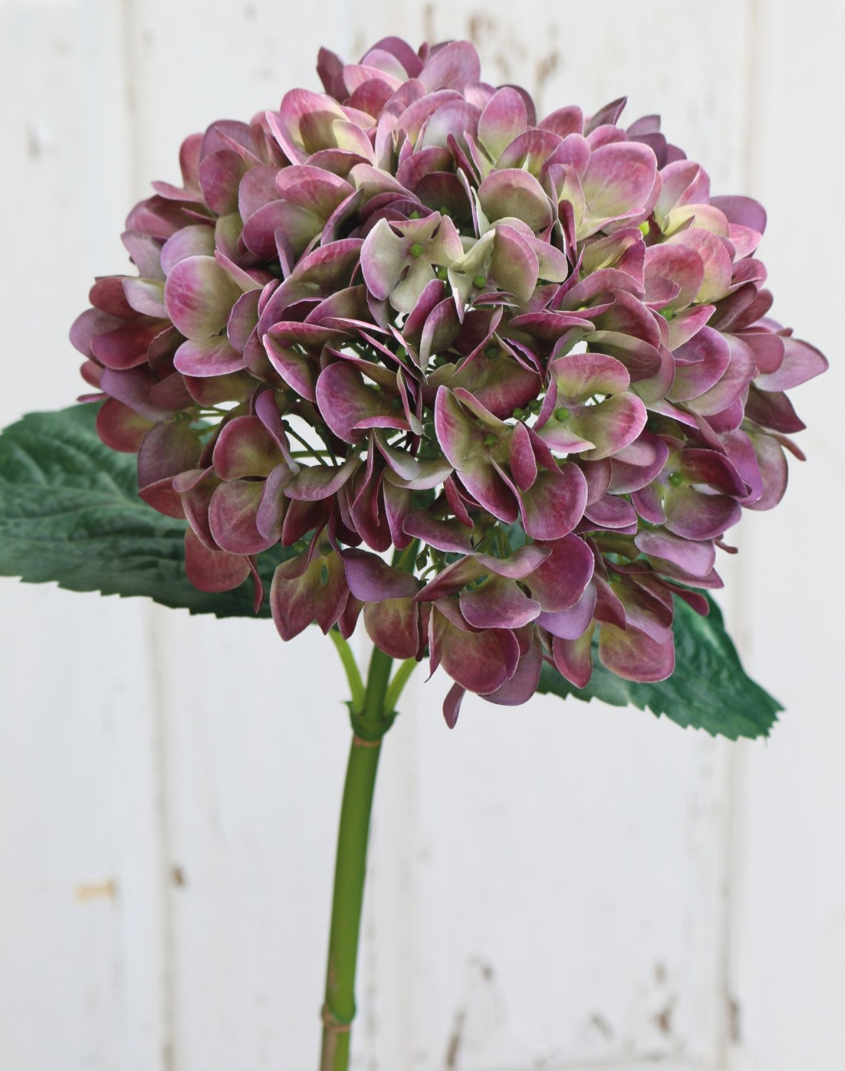 2270 208 a3 Гортензия пластиковая, 65 см, фиолетово-зеленая H-andreas  - Вид №6