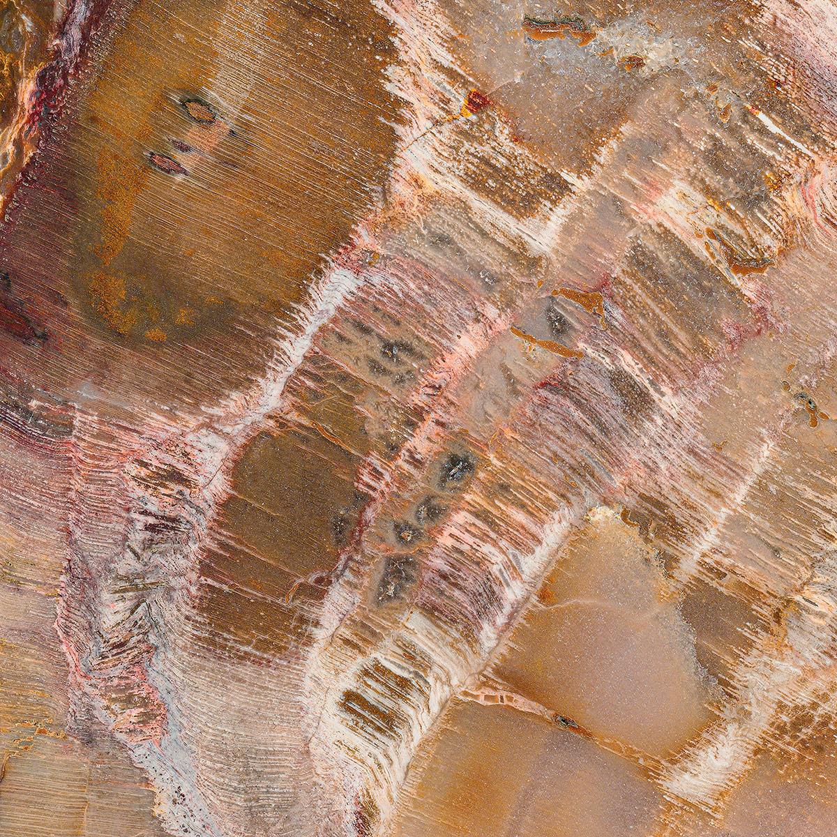 SICIS Ondulato Camel Sol Spathula sun-id-1991051