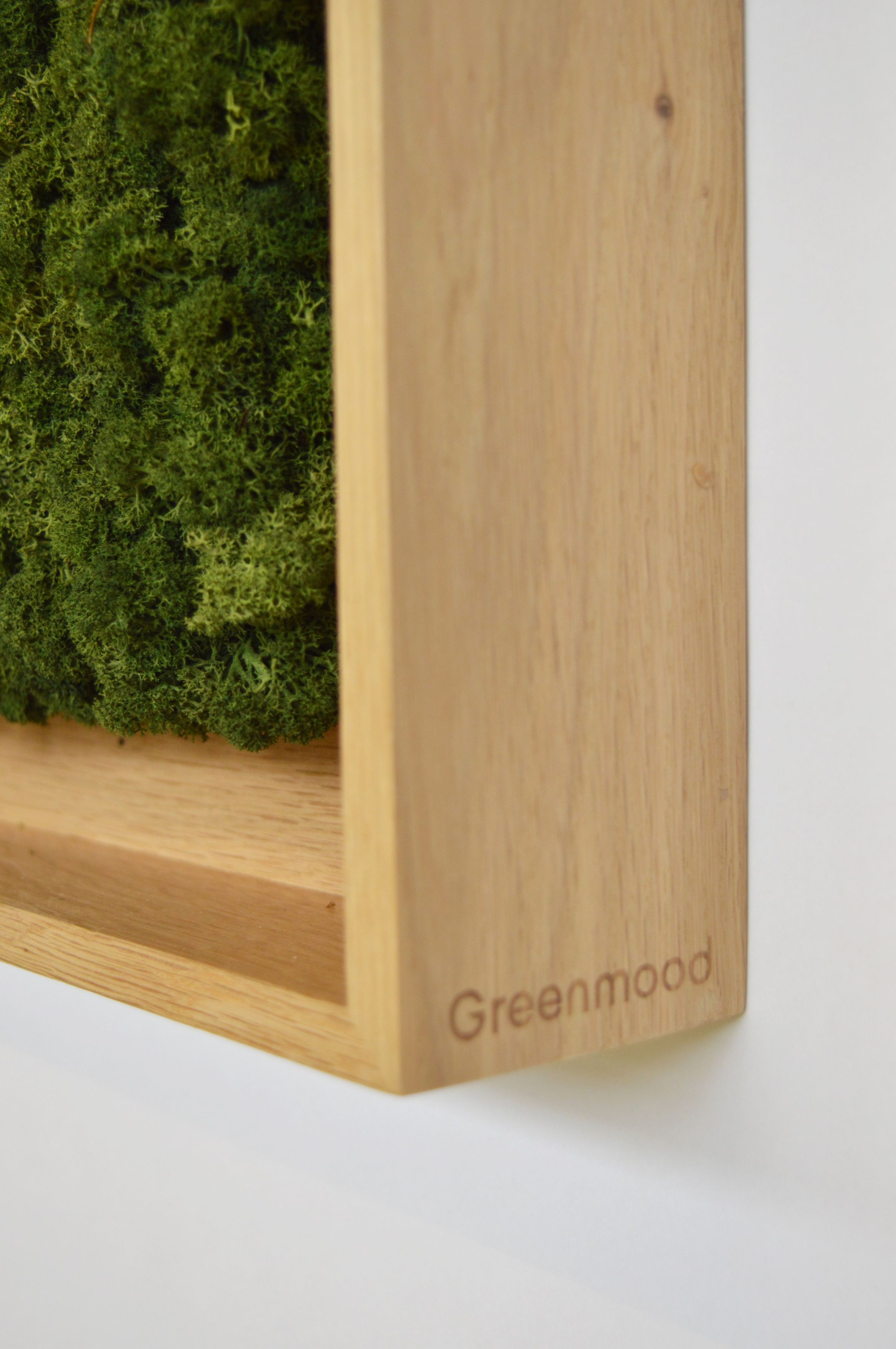 Акустическая панель из мха GREENMOOD FRAMED GEOMETRIC ARCH-00124960 - Вид №24